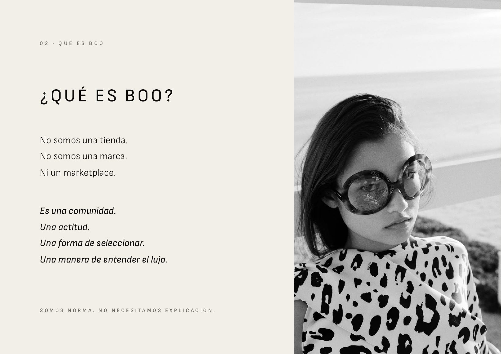 Página del manual de identidad de Boo, qué es Boo